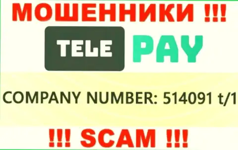 Регистрационный номер TelePay, который размещен мошенниками у них на web-портале: 514091 t/1