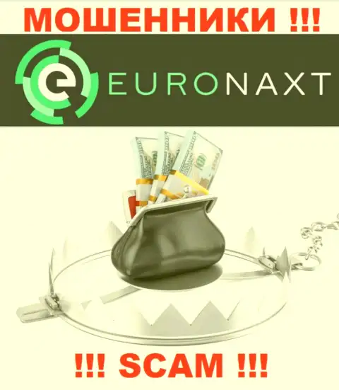 Не переводите ни копейки дополнительно в EuroNaxt Com - прикарманят все под ноль