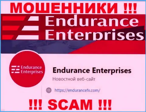 Установить связь с жуликами из Endurance FX Вы можете, если напишите сообщение на их e-mail