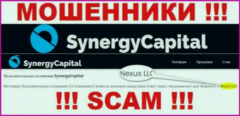 Юридическое лицо, которое управляет интернет мошенниками Синерджи Капитал - это Nexus LLC