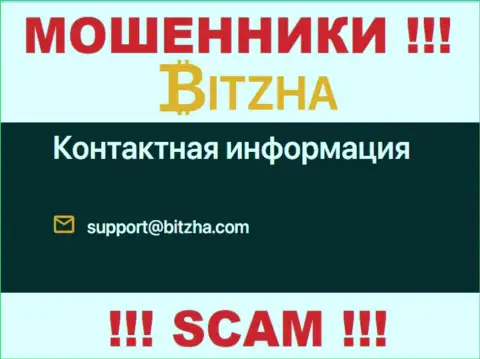E-mail мошенников Bitzha24 Com, информация с официального веб-сайта