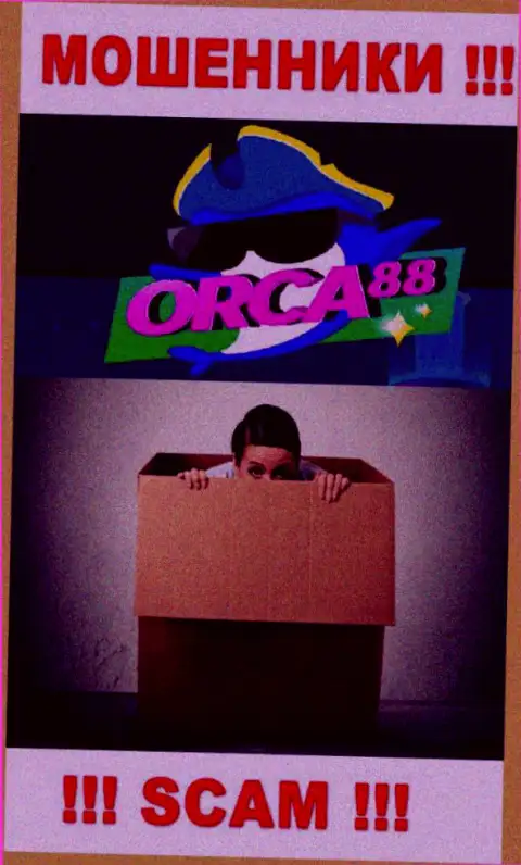Начальство Orca88 в тени, на их официальном веб-сайте о себе инфы нет