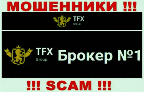 Не доверяйте вложенные деньги TFX FINANCE GROUP LTD, т.к. их направление работы, Форекс, капкан