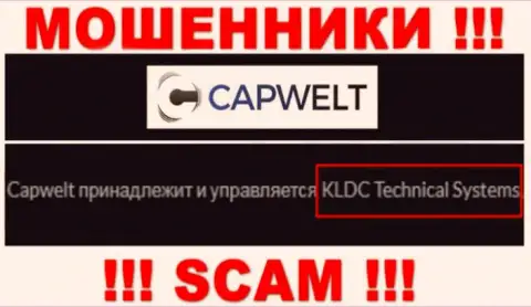 Юридическое лицо организации Cap Welt - это КЛДЦ Техникал Системс, инфа позаимствована с официального сайта