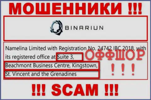 Совместно работать с организацией Binariun Net весьма рискованно - их офшорный адрес регистрации - Suite 3, Beachmont Business Centre, Kingstown, St. Vincent and the Grenadines (информация с их интернет-портала)