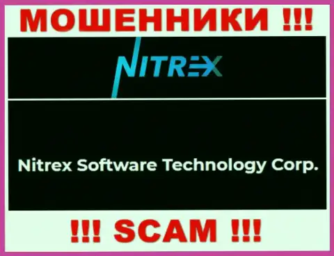 Сомнительная контора Nitrex в собственности такой же скользкой конторе Nitrex Software Technology Corp
