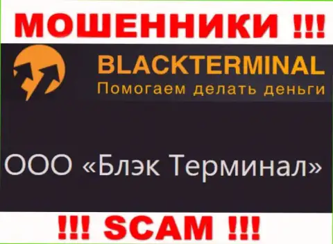 На официальном ресурсе Black Terminal сообщается, что юр. лицо конторы - ООО Блэк Терминал