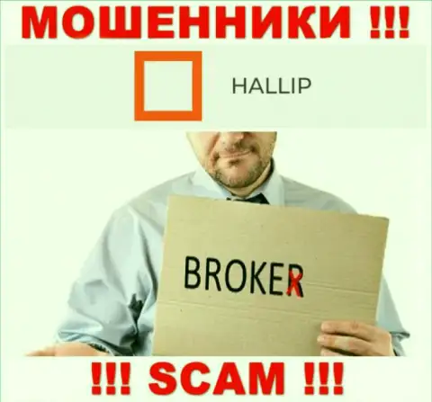 Направление деятельности интернет-мошенников Hallip Com - это Broker, но имейте ввиду это развод !!!