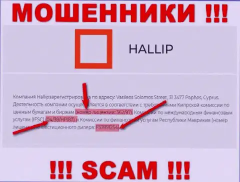 Не взаимодействуйте с мошенниками Hallip - существованием лицензии на осуществление деятельности, на web-портале, завлекают клиентов