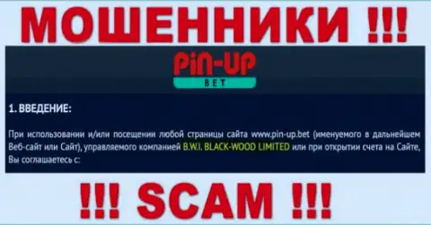 Юридическое лицо организации PinUpBet - это B.W.I. BLACK-WOOD LIMITED, инфа позаимствована с официального онлайн-ресурса