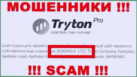 Информация об юридическом лице TrytonPro - это компания Jerminus LTD