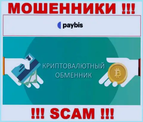 Крипто обменник - это направление деятельности незаконно действующей компании PayBis