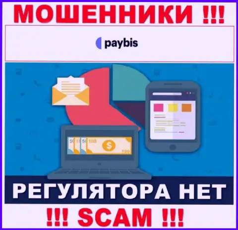 У PayBis на сайте не найдено сведений об регуляторе и лицензии на осуществление деятельности компании, значит их вообще нет