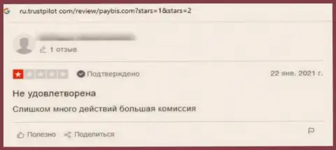 PayBis - это ЛОХОТРОНЩИКИ !!! Работа с которыми может закончиться кражей вкладов - отзыв