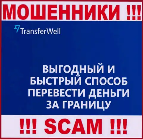 Не стоит верить, что деятельность TransferWell Net в сфере Платежная система легальная