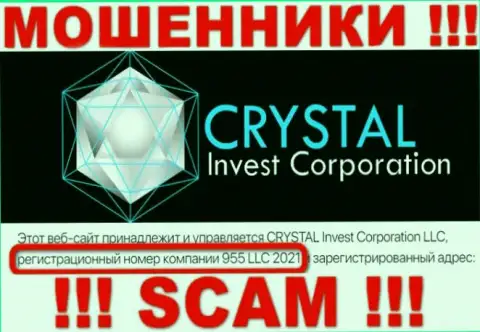 Регистрационный номер организации Crystal Invest, возможно, что фейковый - 955 LLC 2021