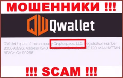 На официальном информационном сервисе Q Wallet сказано, что этой компанией владеет Cryptospace LLC