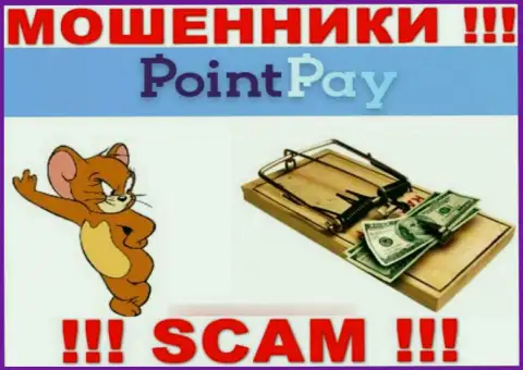 PointPay - это МОШЕННИКИ, не стоит верить им, если станут предлагать разогнать депозит