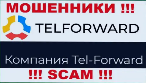Юр. лицо TelForward Net - это Tel-Forward, именно такую информацию расположили мошенники у себя на веб-сайте