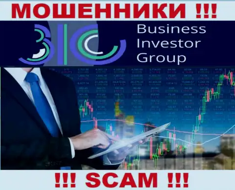 Осторожно !!! Business Investor Group ВОРЫ !!! Их направление деятельности - Broker