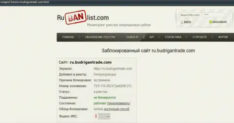 Сайт BudriganTrade в пределах Российской Федерации был заблокирован Генпрокуратурой