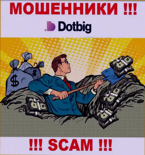 DotBig работает лишь на сбор денег, исходя из этого не надо вестись на дополнительные финансовые вложения