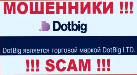 DotBig - юридическое лицо интернет-мошенников контора ДотБиг ЛТД