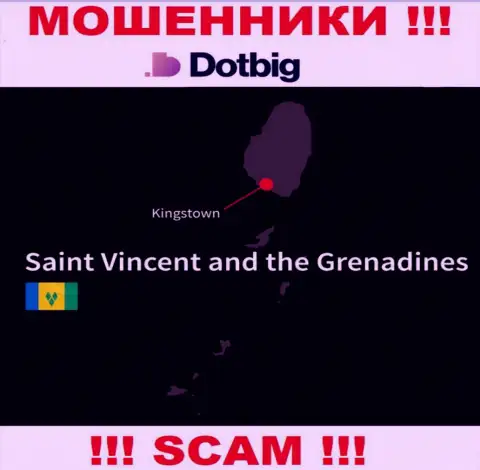 Dot Big имеют оффшорную регистрацию: Kingstown, St. Vincent and the Grenadines - будьте осторожны, мошенники