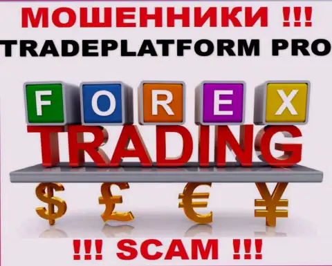 Не стоит верить, что деятельность TradePlatform Pro в области Forex законна