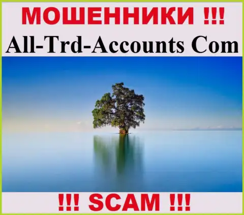 All-Trd-Accounts Com отжимают денежные средства и остаются без наказания - они скрыли сведения об юрисдикции