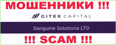 Юр лицо Гитекс Капитал - это Sanguine Solutions LTD, именно такую информацию разместили разводилы у себя на информационном сервисе
