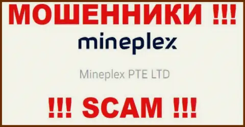Руководством MinePlex Io является компания - Mineplex PTE LTD