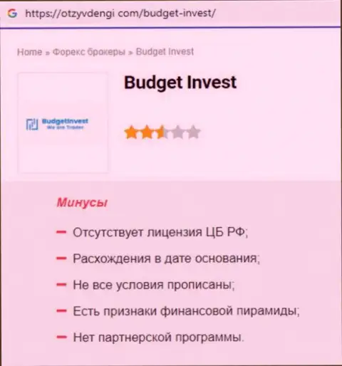 Обзор противозаконных деяний scam-организации BudgetInvest Org - это ЖУЛИКИ !!!