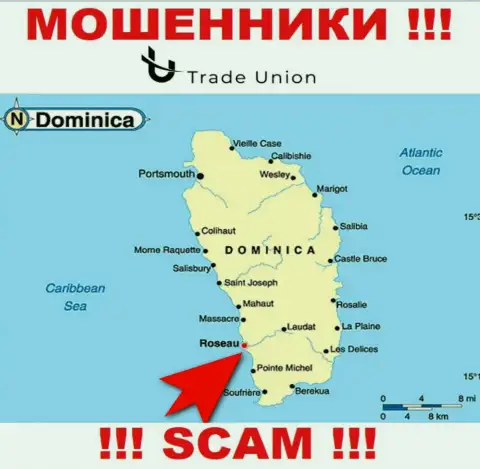Commonwealth of Dominica - здесь юридически зарегистрирована контора TradeUnion