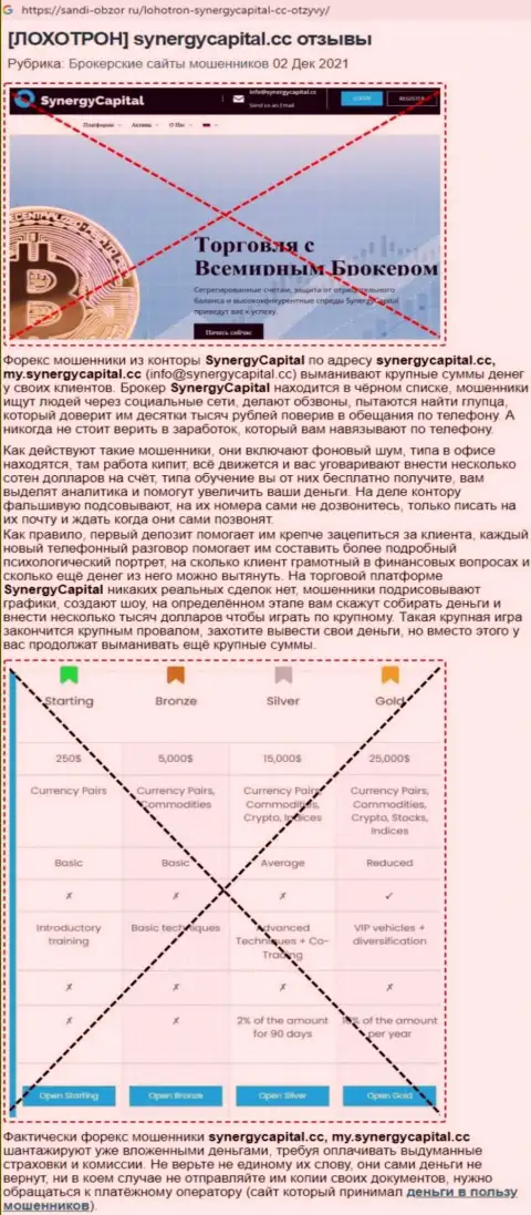 Обзор Synergy Capital с описанием всех признаков мошеннических комбинаций
