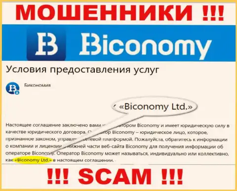 Юридическое лицо, владеющее мошенниками Бикономи Ком - это Biconomy Ltd