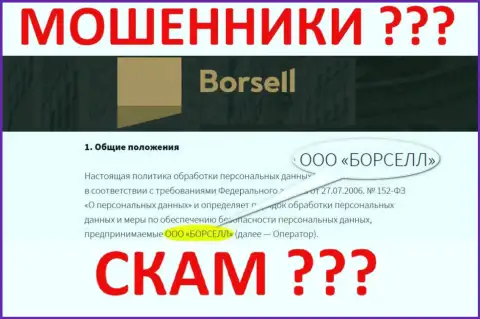 Borsell LLC - это компания, владеющая интернет-мошенниками Borsell Ru