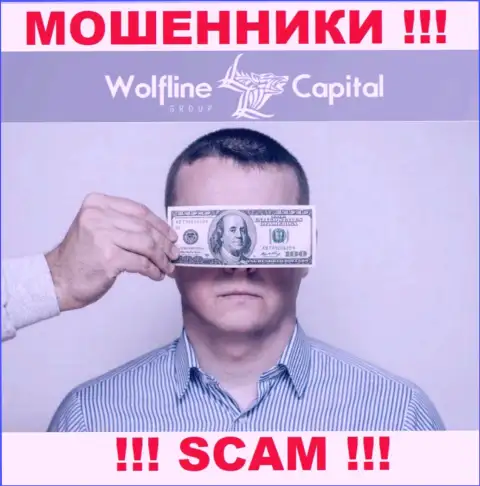 Деятельность Wolfline Capital ПРОТИВОЗАКОННА, ни регулятора, ни разрешения на право деятельности НЕТ